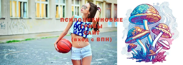 гашиш Богородицк