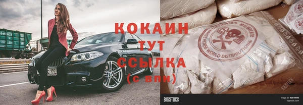 твердый Тайга