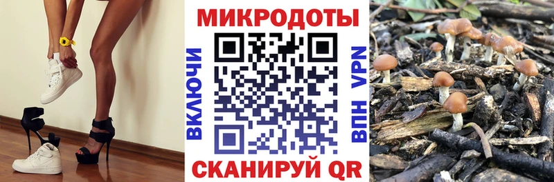 купить Курильск Галлюциногенные грибы мицелий