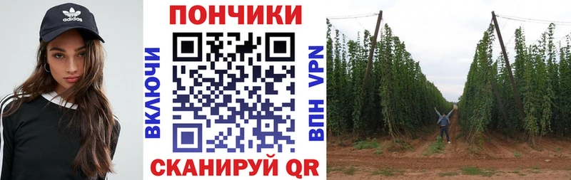 Канабис AK-47  МЕГА рабочий сайт  Курильск 